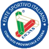 Partner Sponsor 12